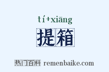 提箱是什么意思的图片